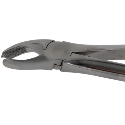 Tooth Extraction Forceps For Right Upper Molars_Close Up