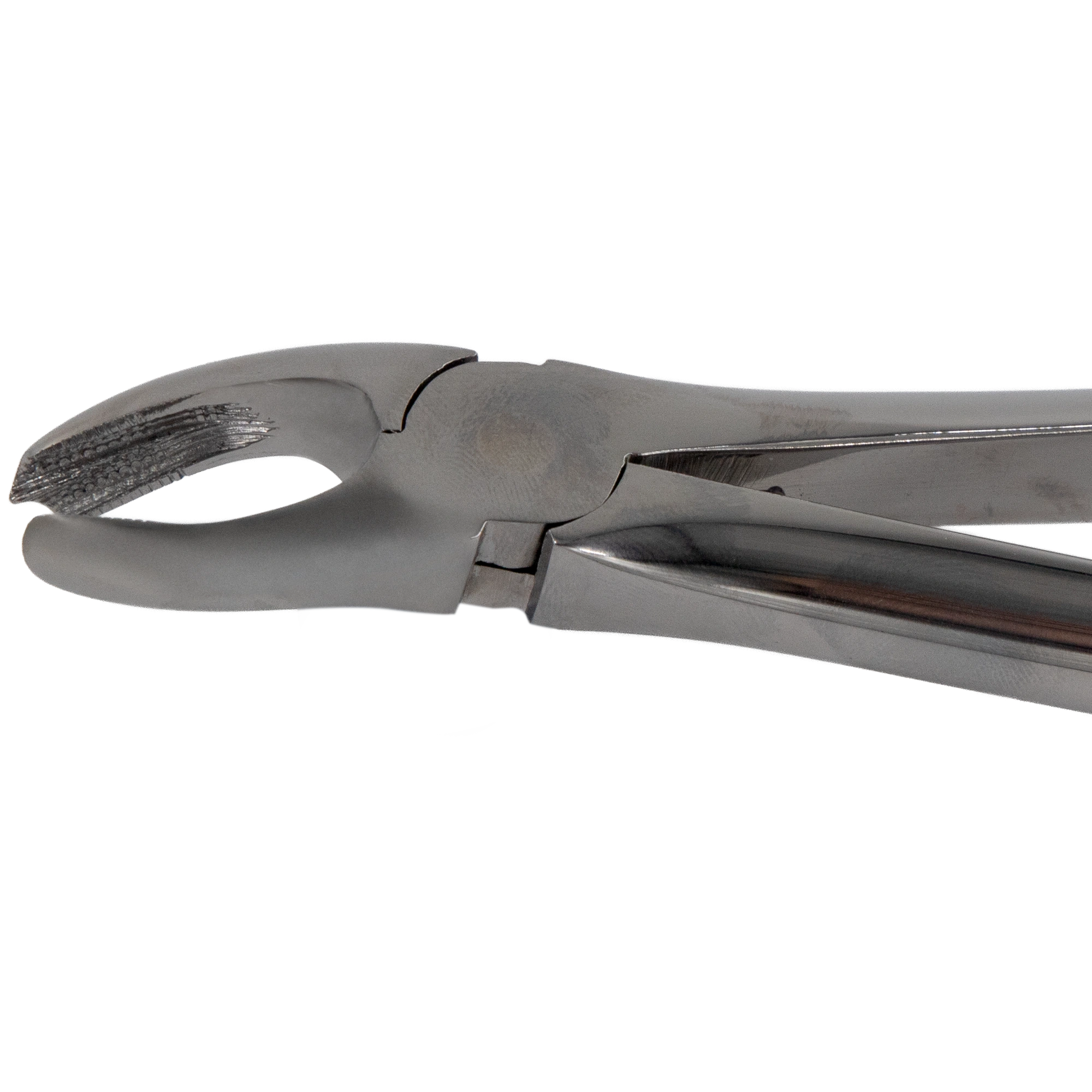 Tooth Extraction Forceps For Right Upper Molars_Close Up