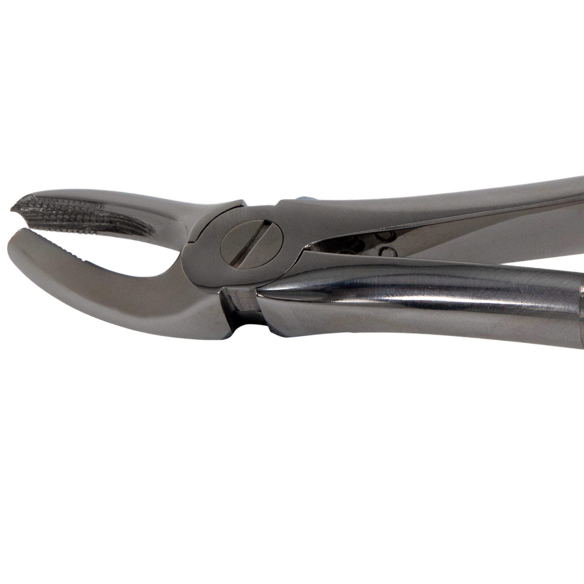 Tooth Extraction Forceps For Left Upper Molars_Close Up