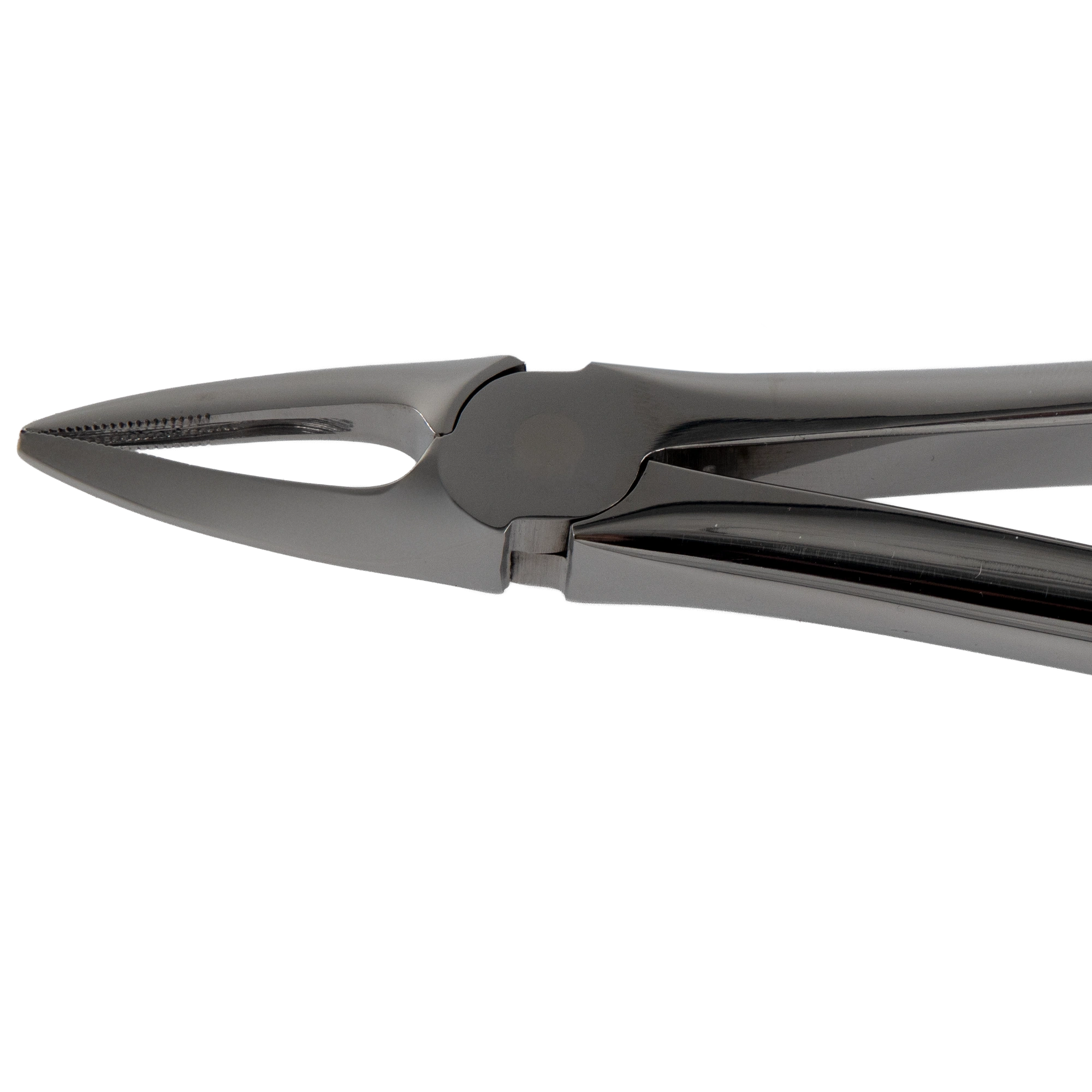 Tooth Extraction Forceps For Upper Roots And Lateral Incisors_Close Up