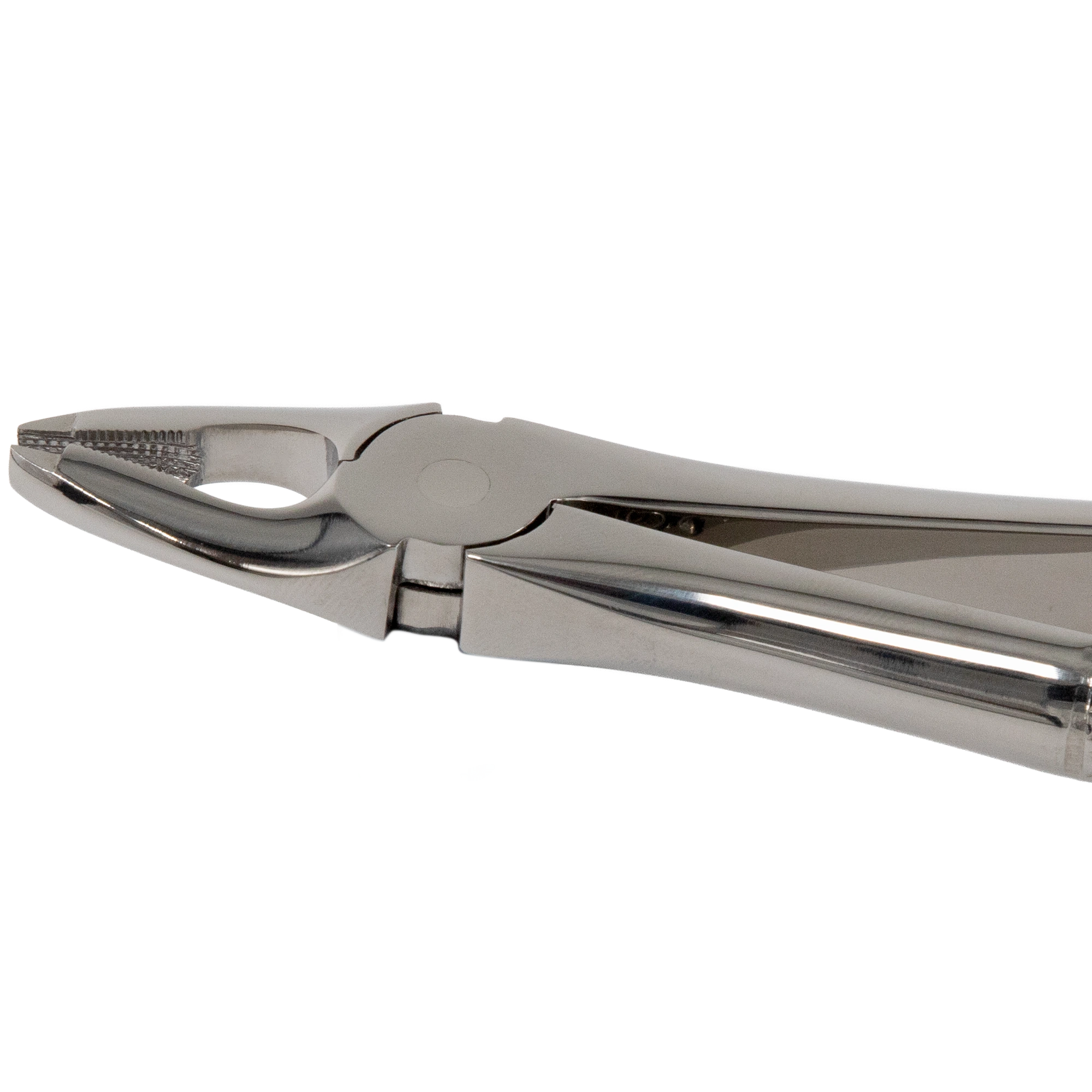 Extended Beaks Extractinon Forceps - 4mm - For Upper Centrals & Canines_Close Up