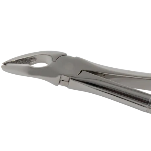 Extended Beaks Extraction Forceps - 4mm - For Upper Premolars_Close Up