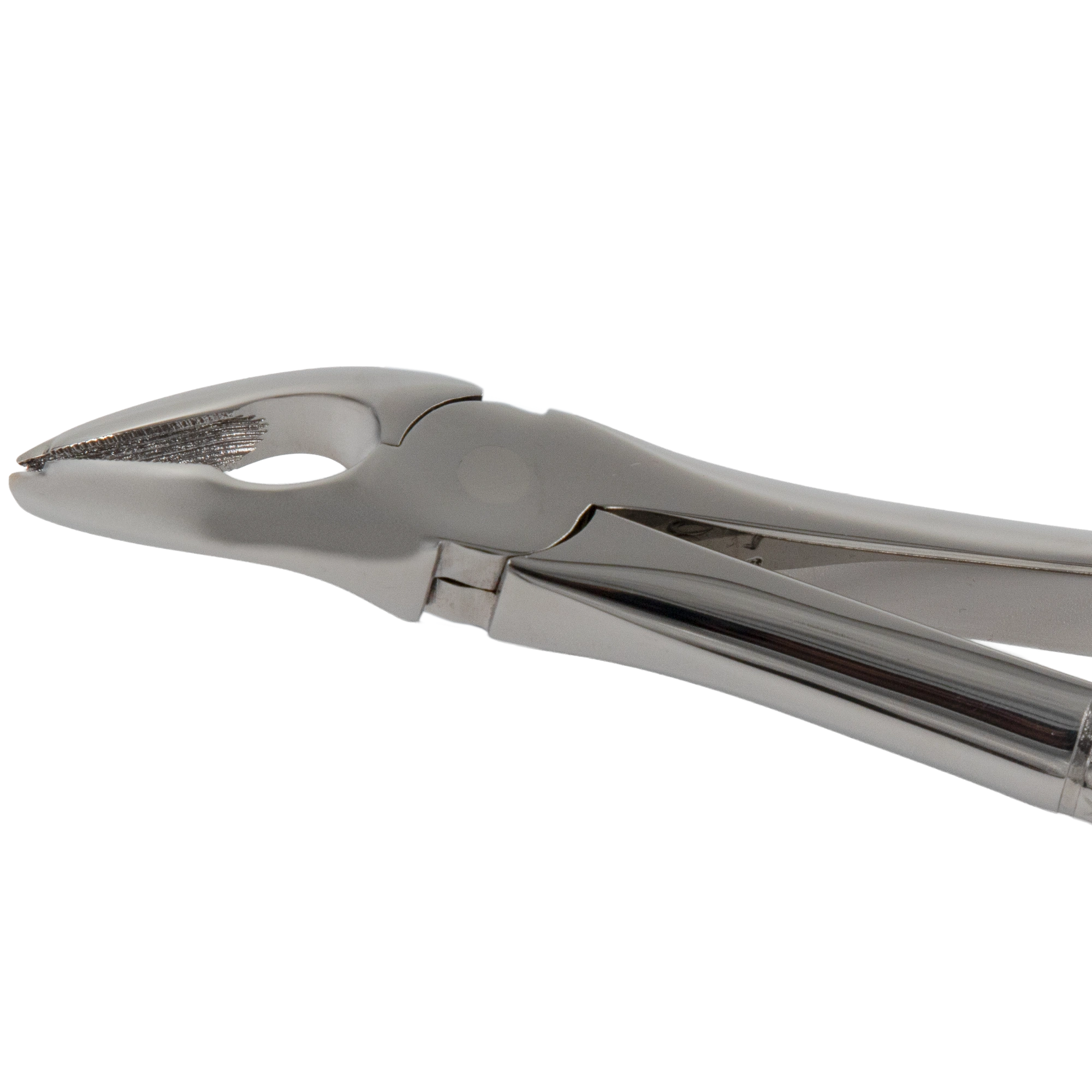 Extended Beaks Extraction Forceps - 4mm - For Upper Premolars_Close Up