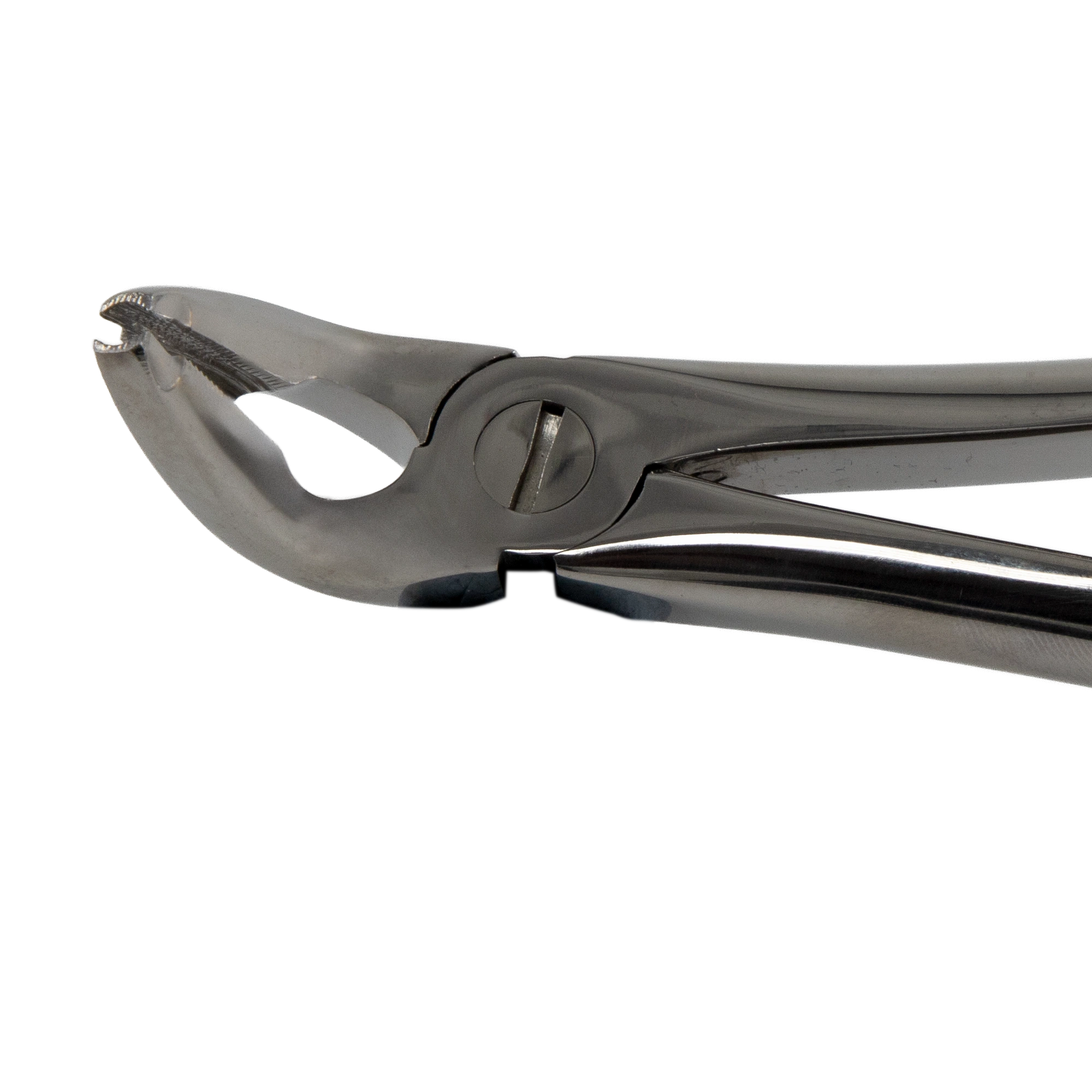 Deep Grip Tooth Extraction Forceps For Lower Premolars And Canines_Close Up